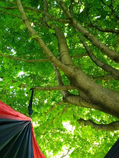 Wadsworth Square Park - Rochester, NY