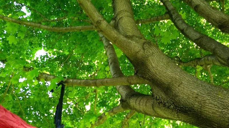 Wadsworth Square Park - Rochester, NY