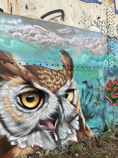 Washington Grove - Rochester, NY