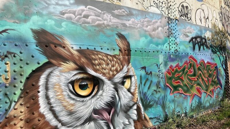 Washington Grove - Rochester, NY