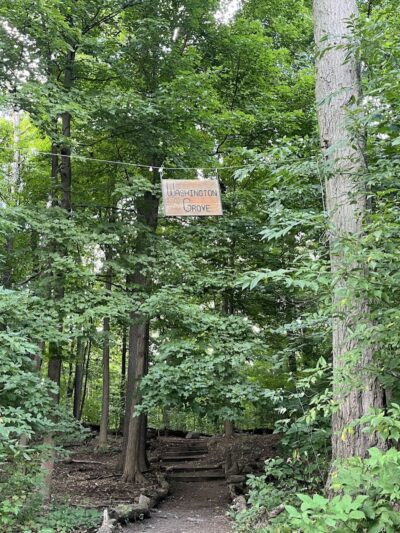 Washington Grove - Rochester, NY