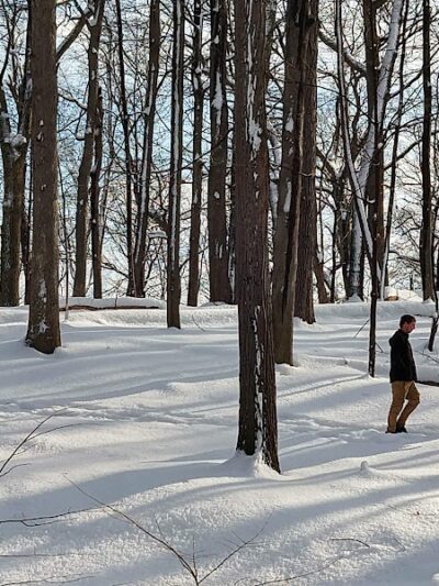 Washington Grove - Rochester, NY