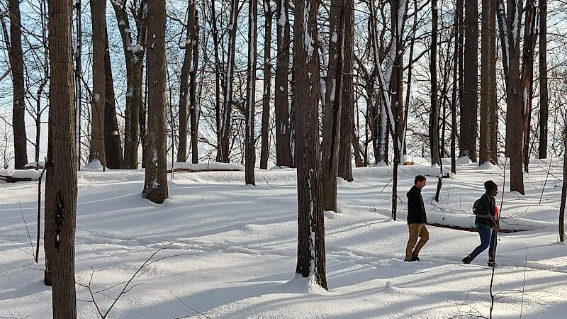 Washington Grove - Rochester, NY