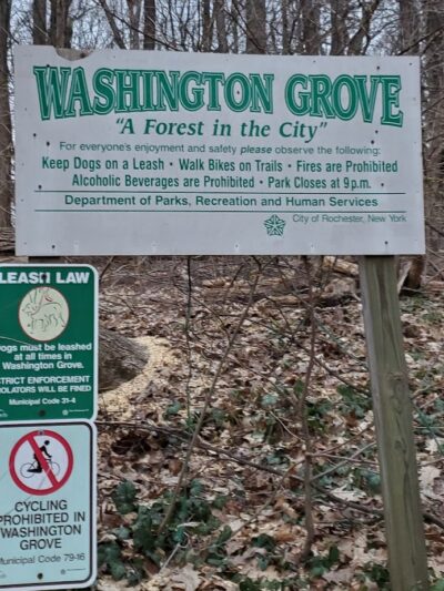Washington Grove - Rochester, NY