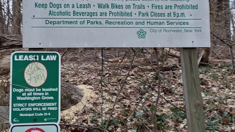 Washington Grove - Rochester, NY