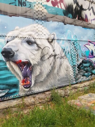 Washington Grove - Rochester, NY