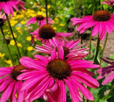 Westgate Park - Rochester, NY