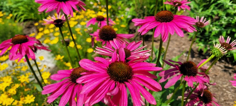 Westgate Park - Rochester, NY