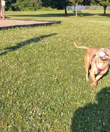 Westgate Park - Rochester, NY