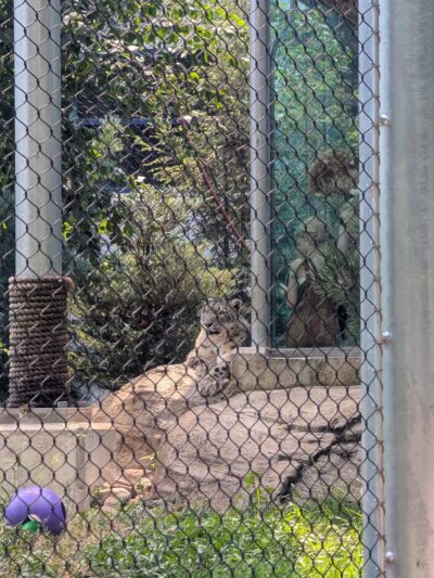 Seneca Park - Rochester, NY