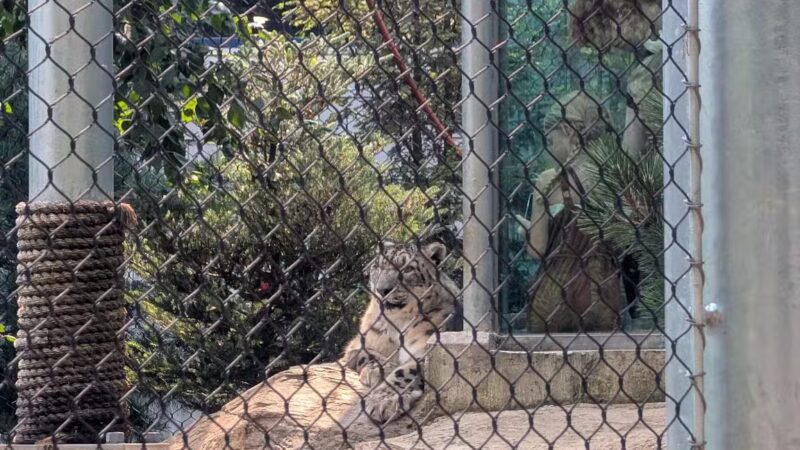 Seneca Park - Rochester, NY