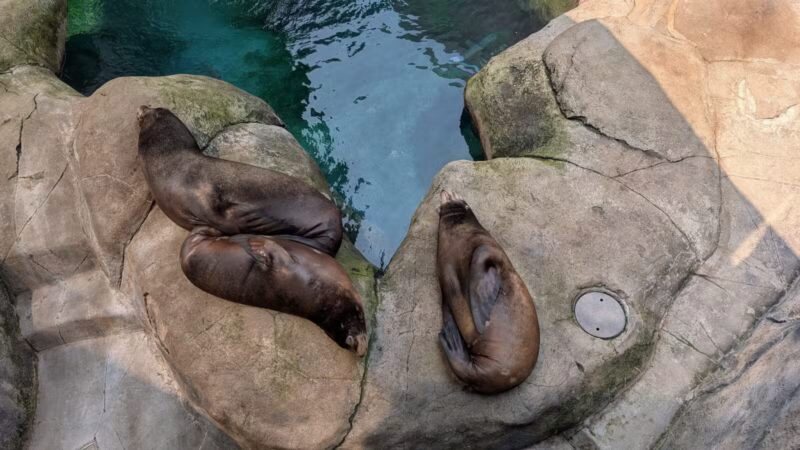 Seneca Park - Rochester, NY