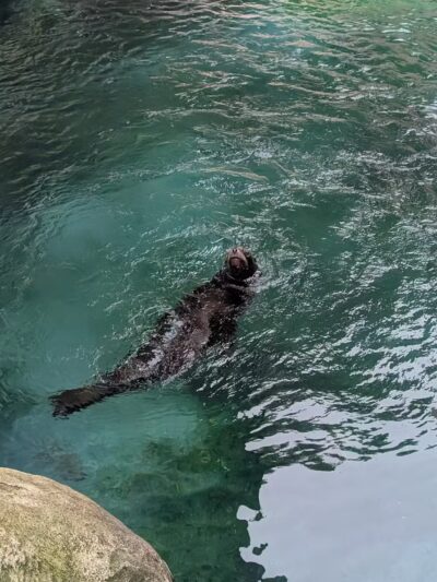 Seneca Park - Rochester, NY