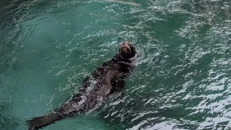 Seneca Park - Rochester, NY