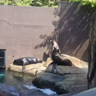 Seneca Park Zoo - Rochester, NY