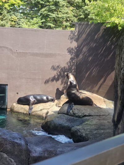 Seneca Park Zoo - Rochester, NY