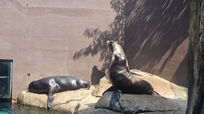 Seneca Park Zoo - Rochester, NY