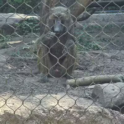 Seneca Park Zoo - Rochester, NY