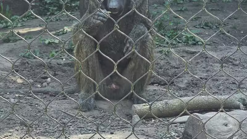 Seneca Park Zoo - Rochester, NY