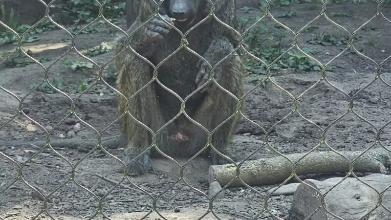 Seneca Park Zoo - Rochester, NY