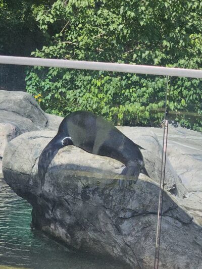 Seneca Park Zoo - Rochester, NY