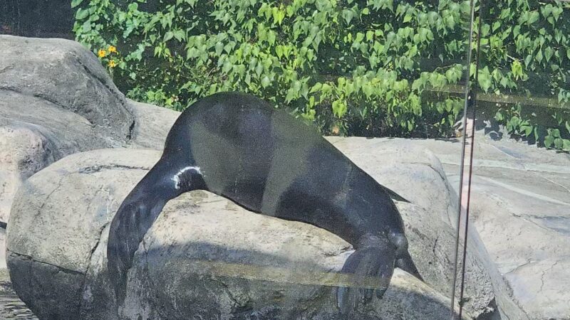 Seneca Park Zoo - Rochester, NY