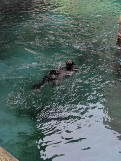 Seneca Park - Rochester, NY