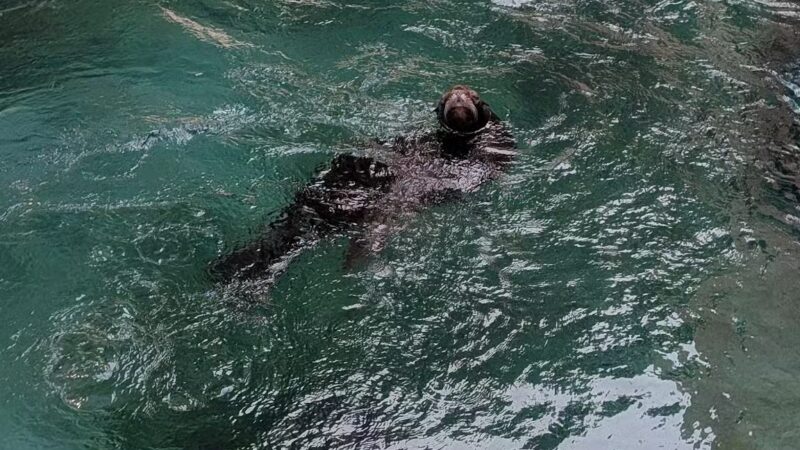 Seneca Park - Rochester, NY