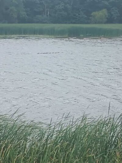 Turning Point Park - Rochester, NY
