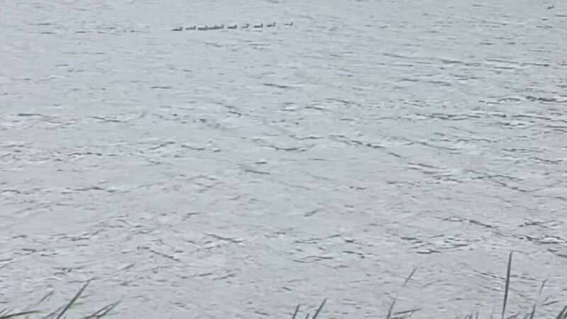 Turning Point Park - Rochester, NY