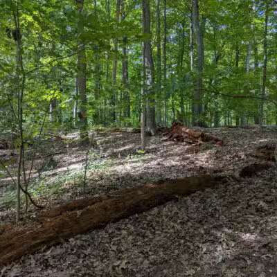 Washington Grove - Rochester, NY