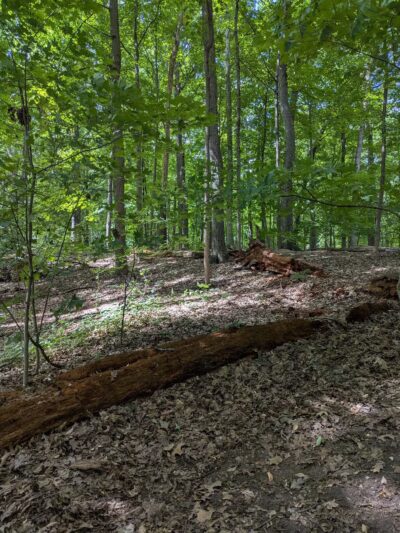 Washington Grove - Rochester, NY