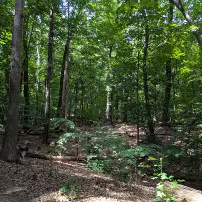 Washington Grove - Rochester, NY
