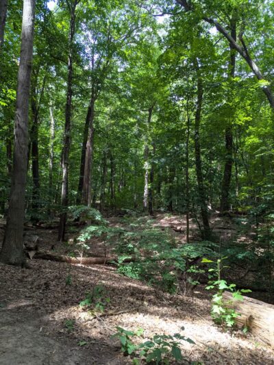 Washington Grove - Rochester, NY