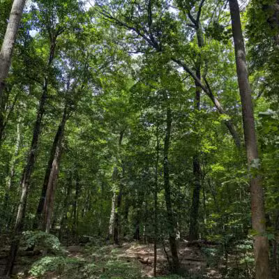 Washington Grove - Rochester, NY