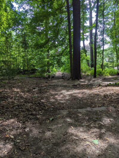 Washington Grove - Rochester, NY