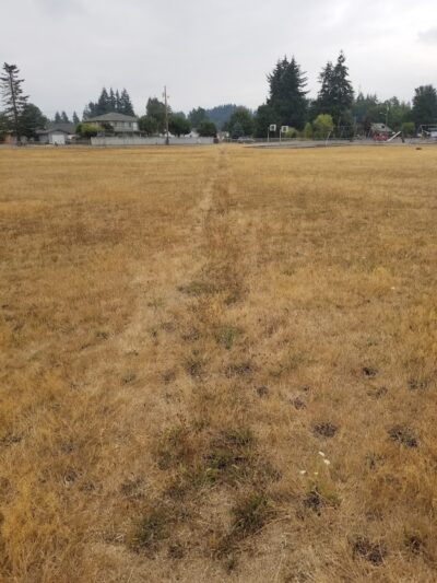 Rochester Community Park - Rochester, WA