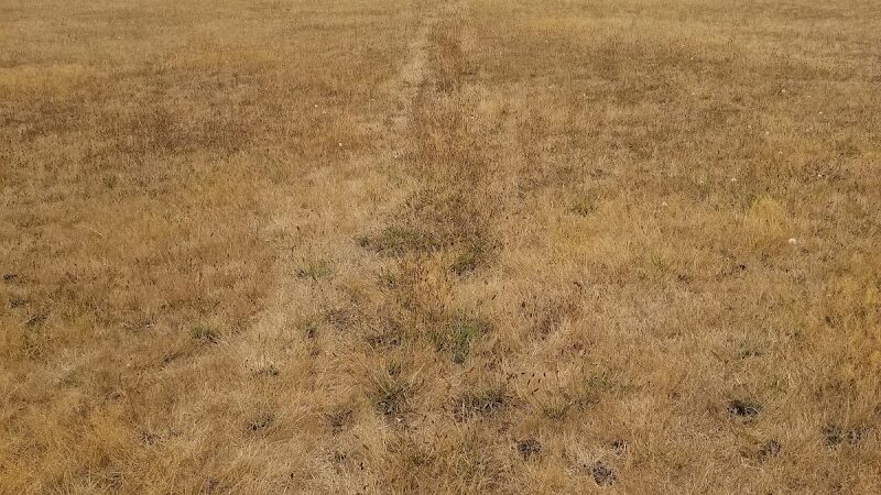 Rochester Community Park - Rochester, WA