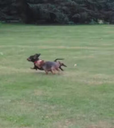 Coloma Township Park District - Rock Falls, IL