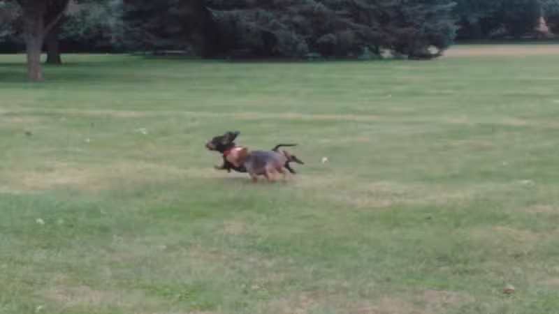 Coloma Township Park District - Rock Falls, IL