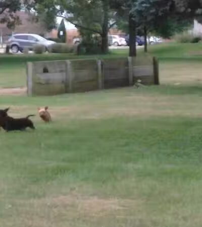 Coloma Township Park District - Rock Falls, IL