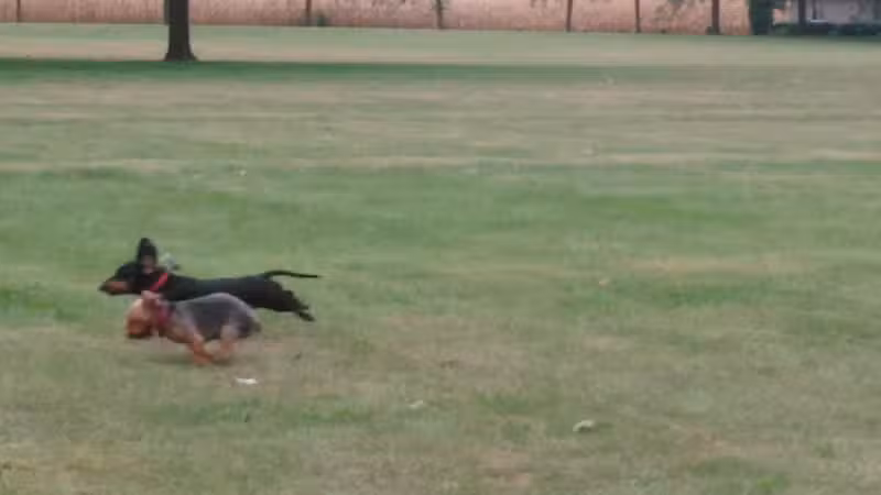 Coloma Township Park District - Rock Falls, IL