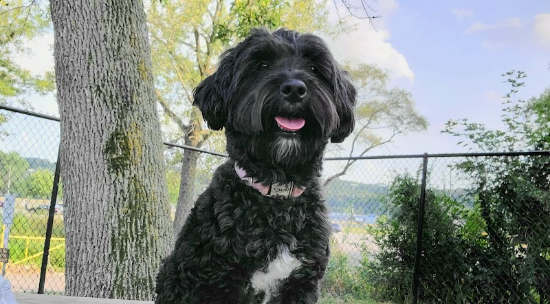 Eleanor Wallace Dog park - Rock Island, IL
