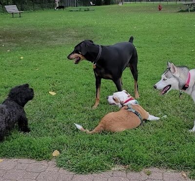 Eleanor Wallace Dog park - Rock Island, IL