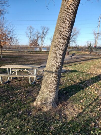 Eleanor Wallace Dog park - Rock Island, IL