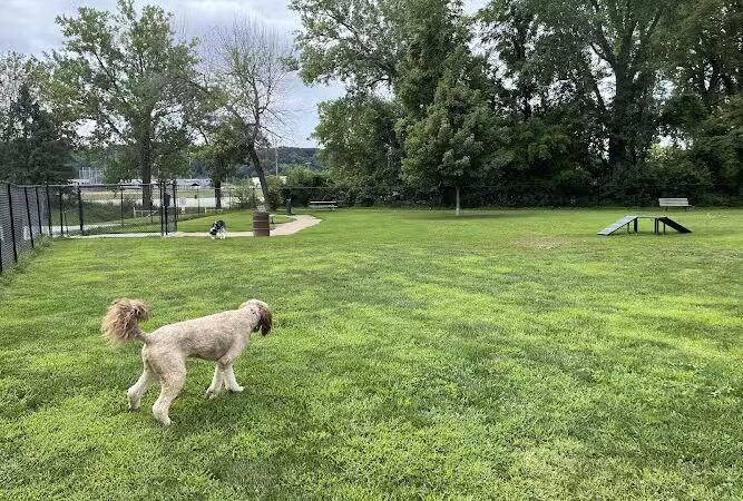 Eleanor Wallace Dog park - Rock Island, IL