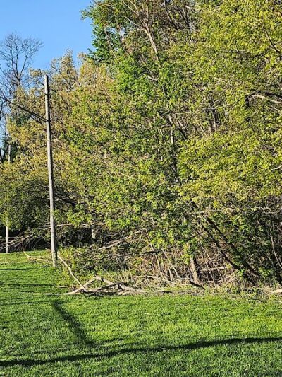 Hodge Park - Rock Island, IL