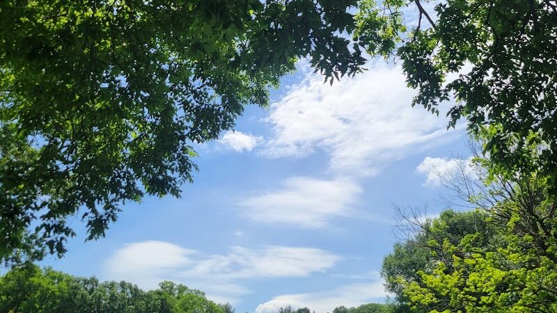Longview Park - Rock Island, IL