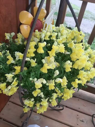 All American Campground and RV Park - Rock Port, MO