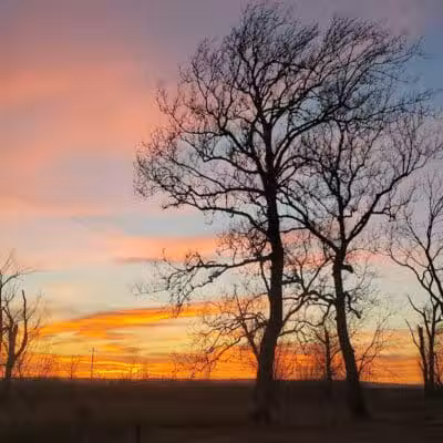 All American Campground and RV Park - Rock Port, MO